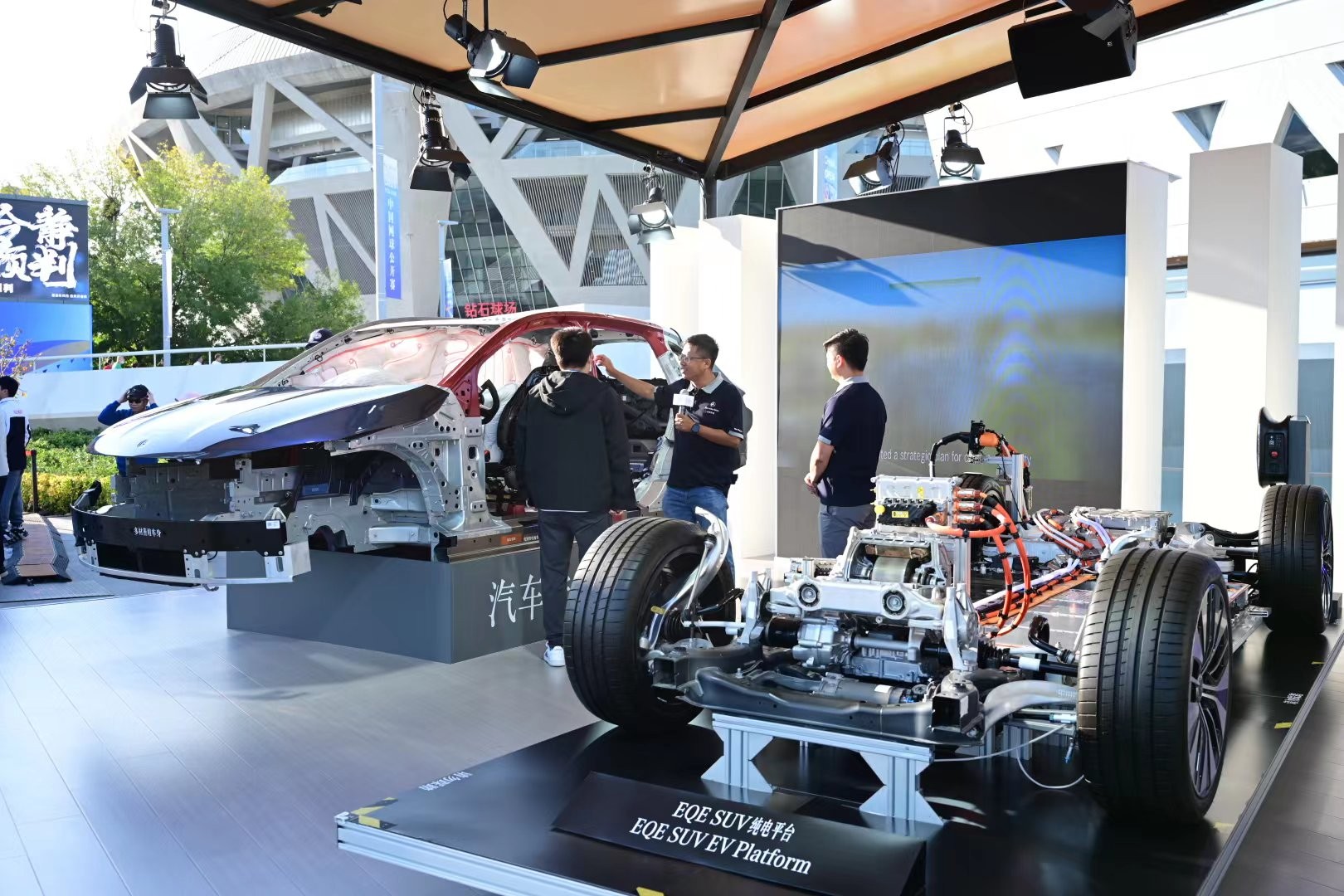 贝拉的对决 贝拉的对决