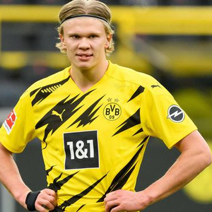 全体样本之 全体样本之